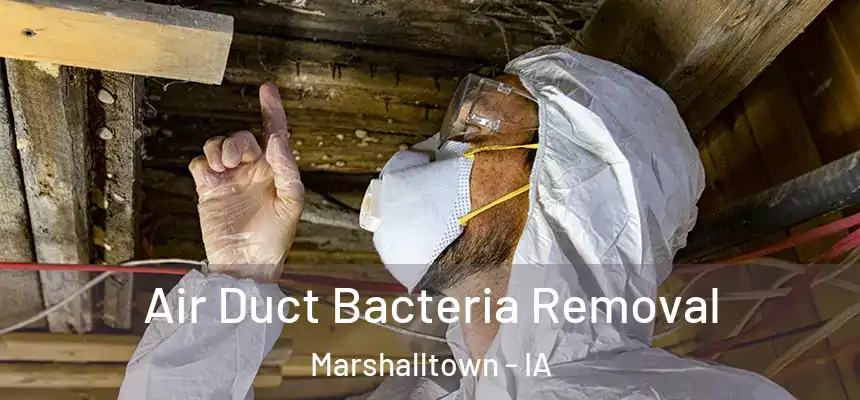  Air Duct Bacteria Removal Marshalltown - IA
