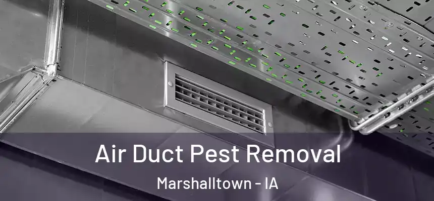 Air Duct Pest Removal Marshalltown - IA