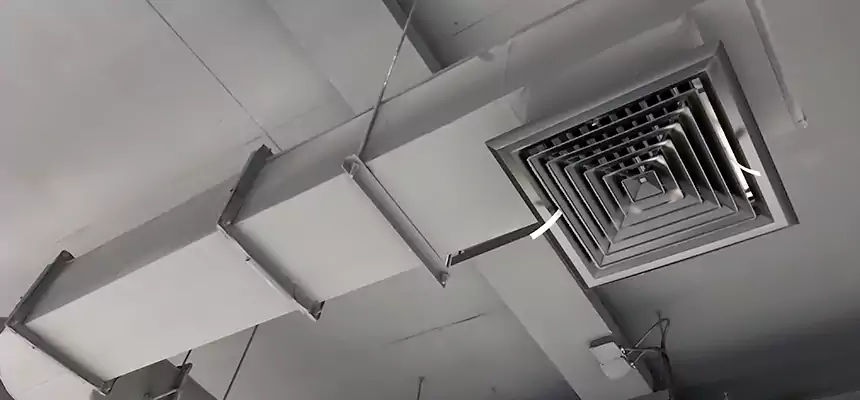 Our Pest Removal From Ducts Services in Marshalltown, IA