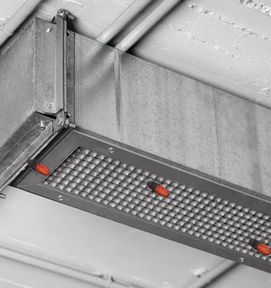 About Air Duct Cockroach Removal in Marshalltown, IA