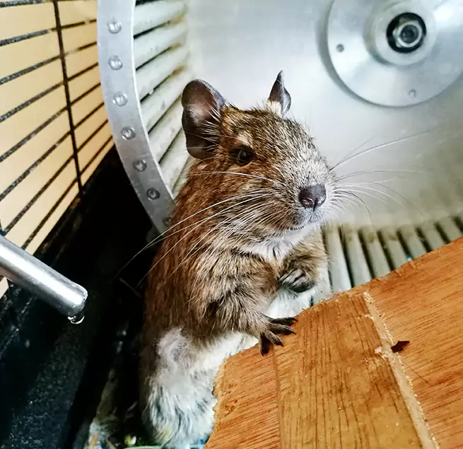 Why Homeowners & Businesses Trust Us Marshalltown, IA?