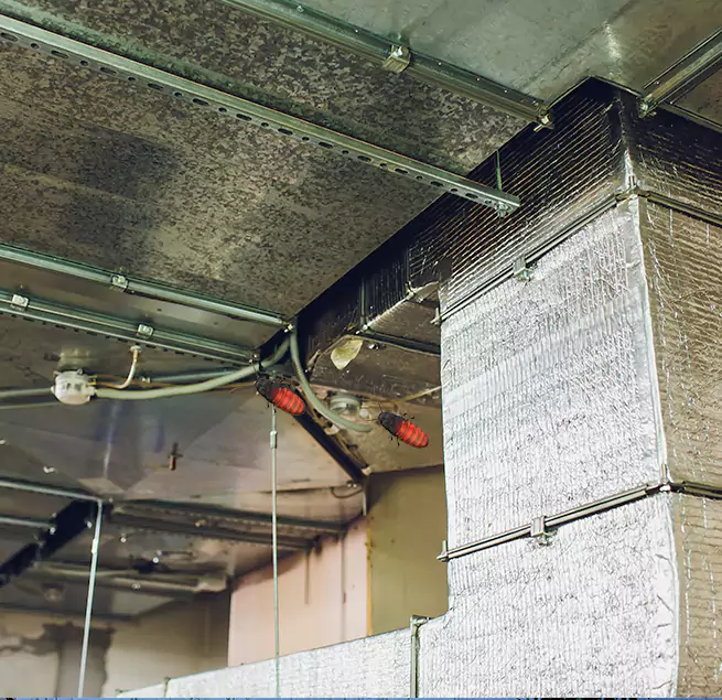 Why Homeowners & Businesses Trust Us Marshalltown, IA?