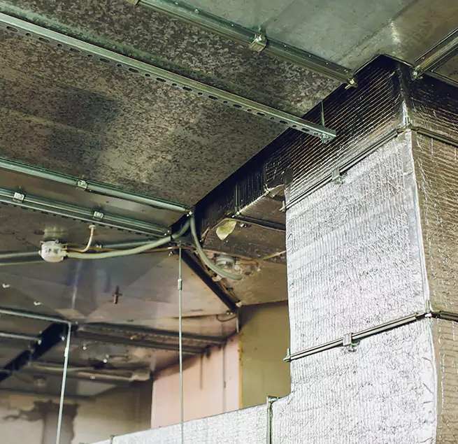 Why Homeowners & Businesses Trust Us in Marshalltown, IA?